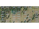 0 Tarryall Rd - Photo 1