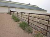 1035 Newton Rd - Photo 5