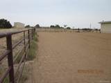 1035 Newton Rd - Photo 6