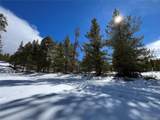 28 Juniper Dr - Photo 8
