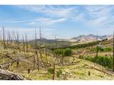 1 Columbine Cir - Photo 10