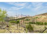 1 Columbine Cir - Photo 11