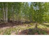 1 Columbine Cir - Photo 13