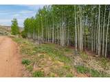 1 Columbine Cir - Photo 8