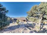 1117 Caliente Ln - Photo 47