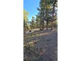  Chubb Ct - Photo 15