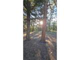  Chubb Ct - Photo 16