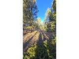  Chubb Ct - Photo 8