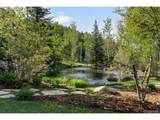 29700 Sunset Trl - Photo 3