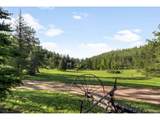 29700 Sunset Trl - Photo 38