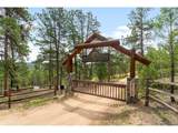 29700 Sunset Trl - Photo 40