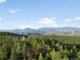 29700 Sunset Trl - Photo 46
