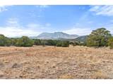 31 County Rd 521 - Photo 16
