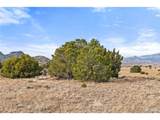 31 County Rd 521 - Photo 18