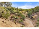 31 County Rd 521 - Photo 30