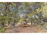 31 County Rd 521 - Photo 4