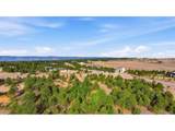5555 Old Stagecoach Rd - Photo 3