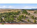 5555 Old Stagecoach Rd - Photo 6