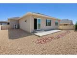 1913 Cuchara Dr - Photo 42