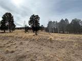 1421 Pitchfork Rd - Photo 12