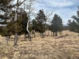 1421 Pitchfork Rd - Photo 13