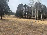 1421 Pitchfork Rd - Photo 15