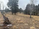1421 Pitchfork Rd - Photo 9