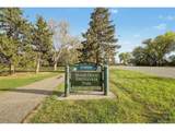 3081 Ash St - Photo 46