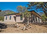 3519 Forest Trail Ol - Photo 1