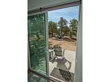 3519 Forest Trail Ol - Photo 10