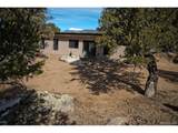 3519 Forest Trail Ol - Photo 25