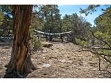 3519 Forest Trail Ol - Photo 26