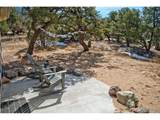 3519 Forest Trail Ol - Photo 28