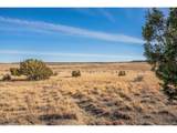 24 Hatchet Ranch - Photo 10