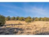 24 Hatchet Ranch - Photo 11