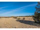 24 Hatchet Ranch - Photo 3