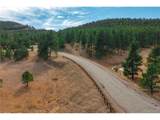 29793 Ruby Ranch Rd - Photo 35