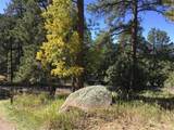 26130 Edelweiss Cir - Photo 22