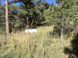 26130 Edelweiss Cir - Photo 59