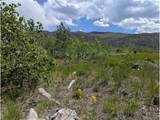 904 Forbes Park Rd & Ueda Pl - Photo 9