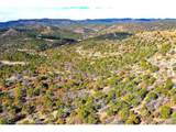 14 Fishers Peak Ranch - Photo 11