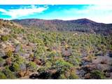 14 Fishers Peak Ranch - Photo 15