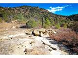 14 Fishers Peak Ranch - Photo 19