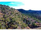 14 Fishers Peak Ranch - Photo 3