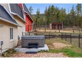 31551 Black Widow Dr - Photo 36
