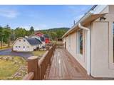 31551 Black Widow Dr - Photo 41