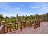 31551 Black Widow Dr - Photo 42