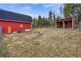 31551 Black Widow Dr - Photo 44