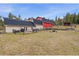 31551 Black Widow Dr - Photo 45