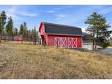31551 Black Widow Dr - Photo 46